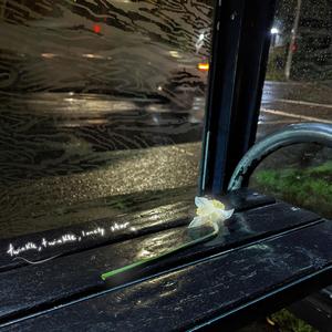 twinkle, twinkle, lonely star (feat. voidboy)