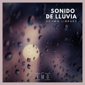 Sonido de Lluvia de Img Library, Pt. 14