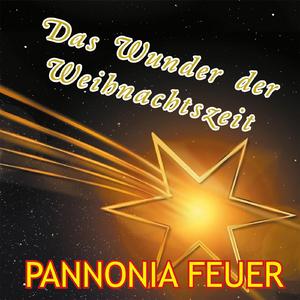 Das Wunder der Weihnachtszeit (Radioedit)