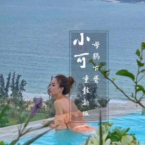 DJ小可《母鸡下蛋重鼓新版（DJ版）》