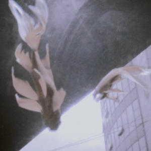 幻觉（lost love)）