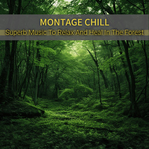 Lagoon Leisure Echoes