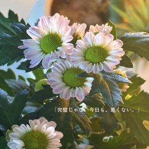 たぶん時間は少し恥ずかしがり屋です