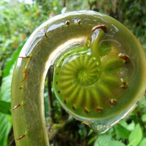 紧张收缩日寸人弋