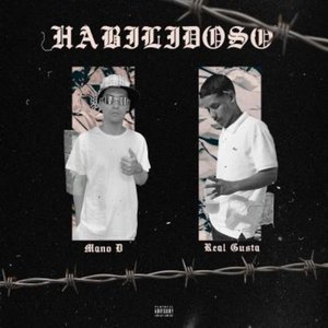 Habilidoso