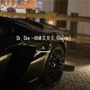 Various Artists-Still D.R.E.（SL remix）