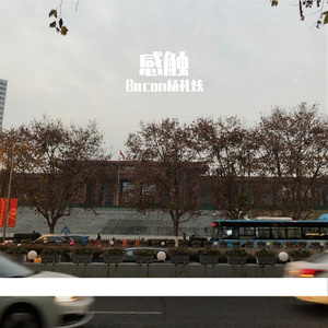 感触feeling 伴奏