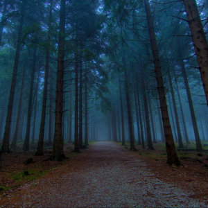 Холодной душой