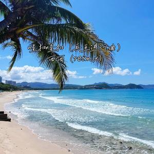 哇扣哇扣（兵王进行曲）