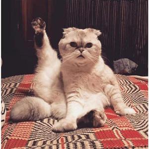 下个星期去英国