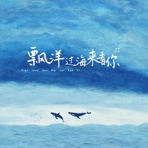 漂洋过海来看你（cover：en）