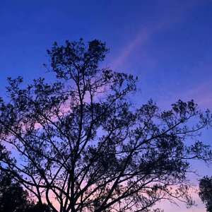 MY R&B（Prod.Xiangyue）