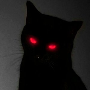 Ride The Dick Phonk Brazillian (Slowed)