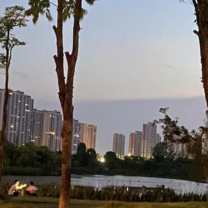 向日葵 prod.tired