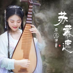 【琵琶】苏幕遮-乐落清音