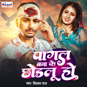 Pagal Banake Chhodalu Ho