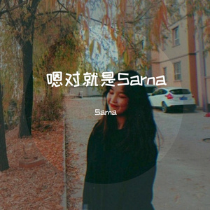 风度