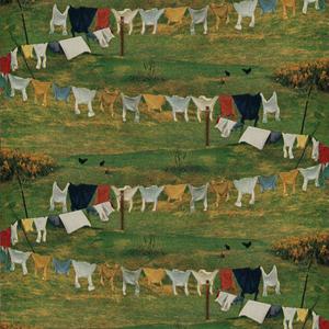 Apathetic, So Pathetic