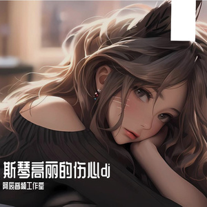 泪鑫-Voice（阿辰音频工作室 remix）