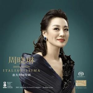 主人，请听我说