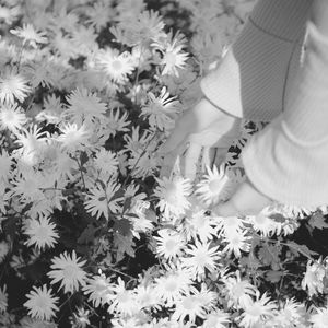 抚慰的放松回忆