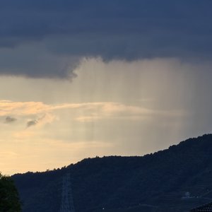 那些誓言，成了记忆里的谎言