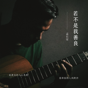 若不是我善良-孟长安