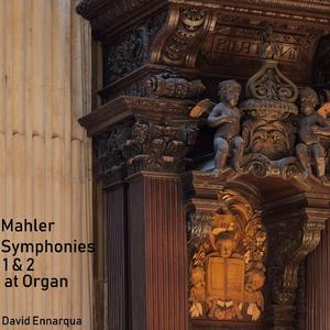 Symphony No. 1 in D Major, IGM. 7: 4. Stürmisch bewegt Energisch