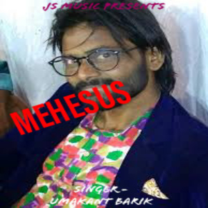 Mehesus