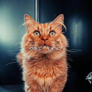 Wondrous Ambiance for Resting Days