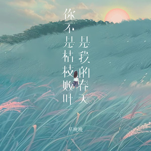 你不是枯枝败叶是我的春天 (伴奏)