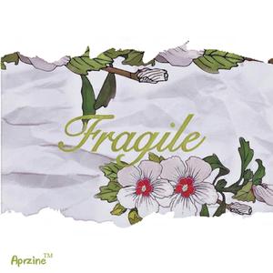 Fragile（翻自 Celeina Ann）