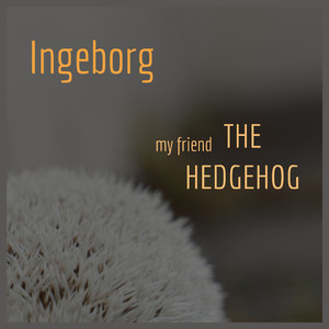 My Friend the Hedgehog