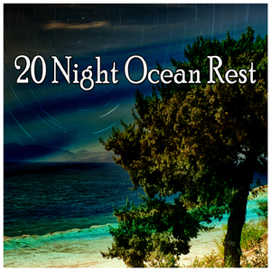 Waves Along The Shore