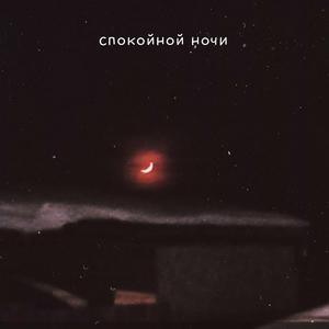 спокойной ночи