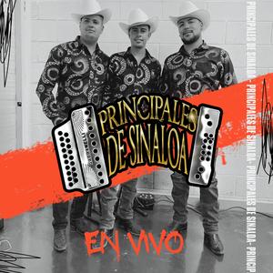 El jorongo (En vivo)