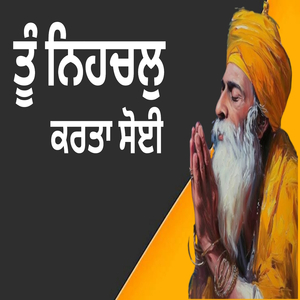 ਤੂੰ ਨਿਹਚਲੁ ਕਰਤਾ ਸੋਈ