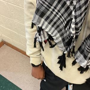 I guess you could say