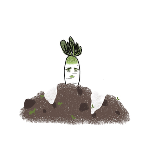 大根抜き 〜弾き語り.ver〜