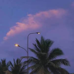 在凌晨一点三十三分突然想起台风夜时的你