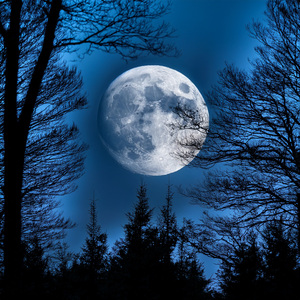 Moonlight On The Window