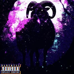 BLACKSHEEP