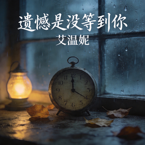 遗憾是没等到你