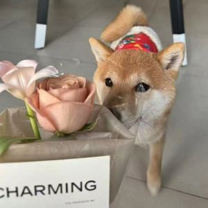 大规模