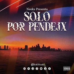 Solo Por Pendejx