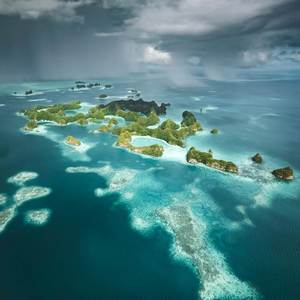 जो पंछी उड़ना सीख जाते