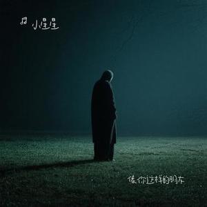 像你这样的朋友 (Cover 陆虎)