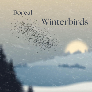 Winterbirds