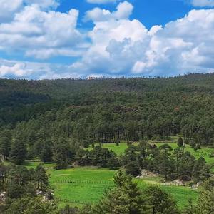 Soy Del Rancho San Isidro De Las Calabazas