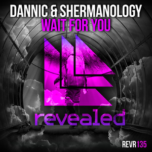 Wait For You (Original Mix)
